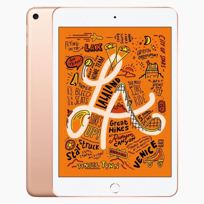 iPad Mini 5 256 GB 4G | Keurmerk Refurbished | leapp