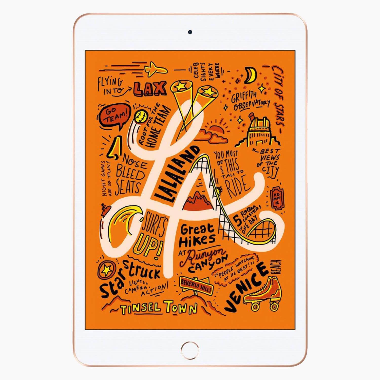 iPad Mini 5 64 GB 4G
