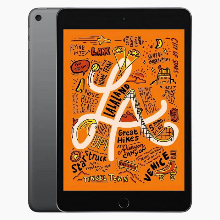 iPad Mini 5 256 GB 4G | Keurmerk Refurbished | leapp