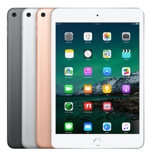 iPad Mini 5 256 GB 4G | Keurmerk Refurbished | leapp