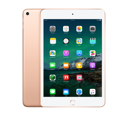 Refurbished iPad Mini 5 4g 256gb